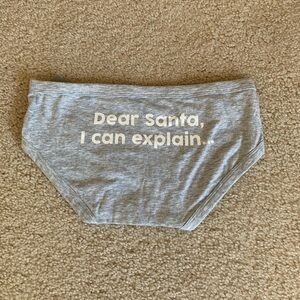 Aerie Santa Graphic Boybrief Underwear, Grey, Size XS NWT